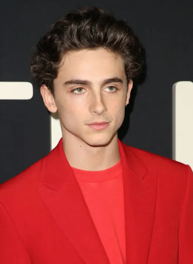 Timothée Chalamet is known for his roles in films like Call Me By Your Name and Ladybug