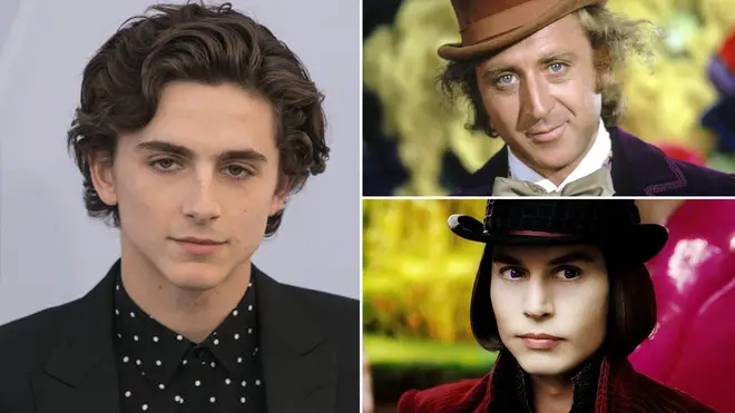 Timothée will play Willy Wonka in a new prequel