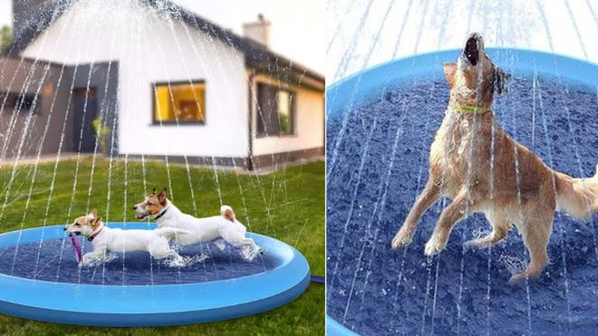 You can now get a paddling pool with a sprinkler for your dog