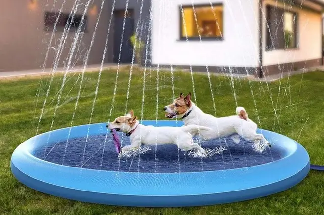 Dog Fountain Splash Mat by Big Ralph