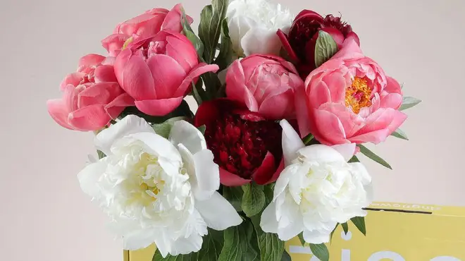 These beautiful peonies are part of Zing Flower's letterbox range