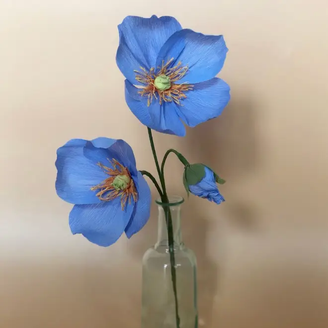 Leo Flowers are made from paper and last longer than freshly-cut flowers