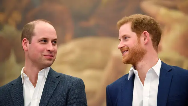 Harry and William have been working together on this project for almost four years