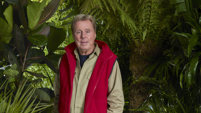 Harry Redknapp is now the second highest paid star on the show this year