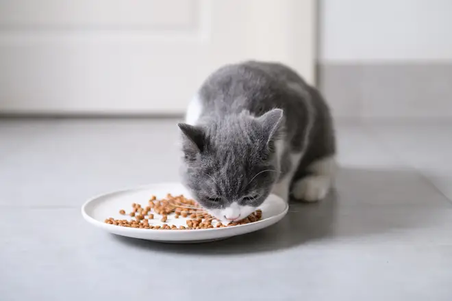 Sainsbury's and Wilko are among retailers who have pulled the cat food from shelves