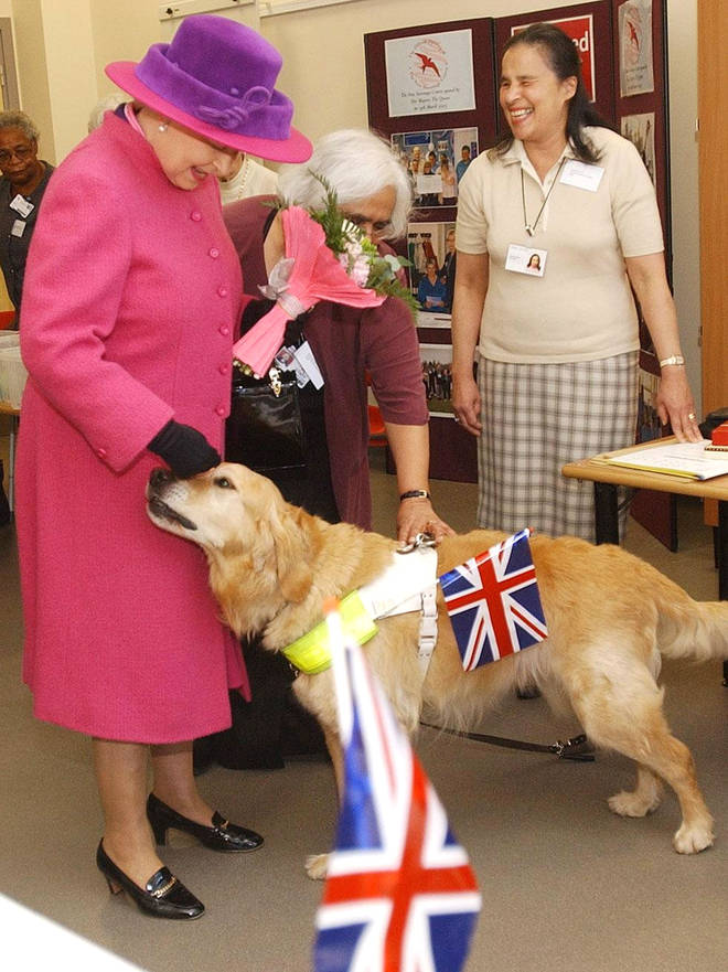 The Queen pets a friendly guide dog - but one woman wants them banned