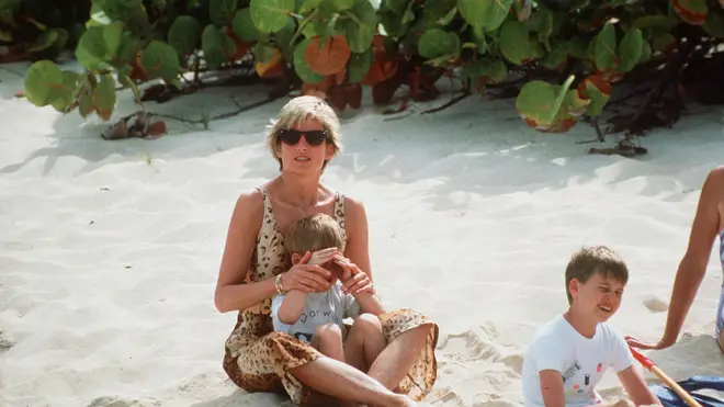 Prince Harry sits on Princess Diana's lap as they soak up the sun