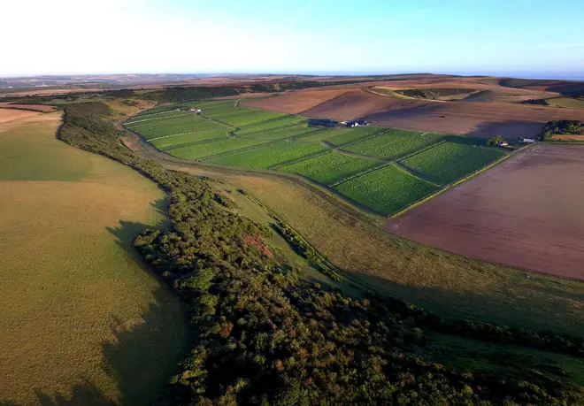 An aerial view of the wine estate in the Sussex South Downs