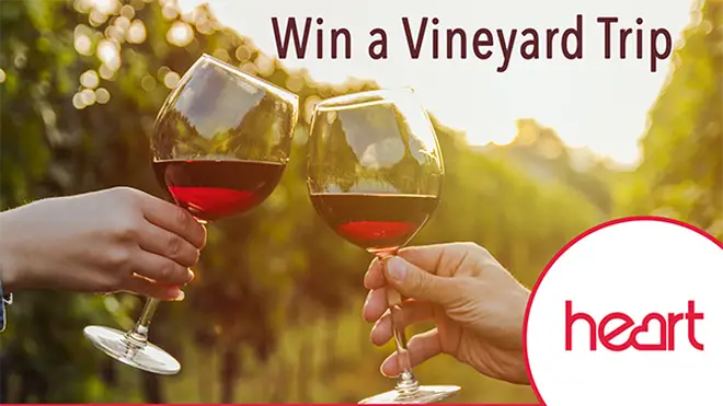 Win a Vineyard Trip
