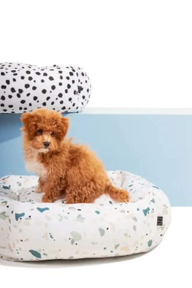 Settle has a range of dog beds in trendy patterns, like terrazzo