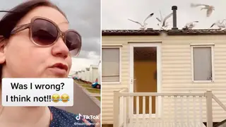 Woman lures seagulls to noisy neighbours' roof with bread at 7am in ultimate revenge