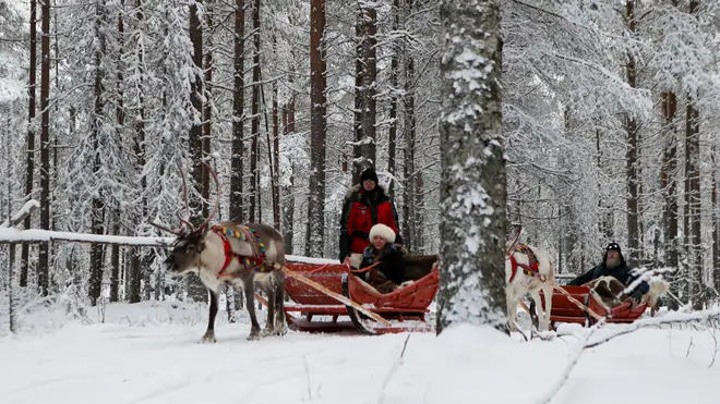 What holidaymakers would expect to see when visiting Lapland at this time of year