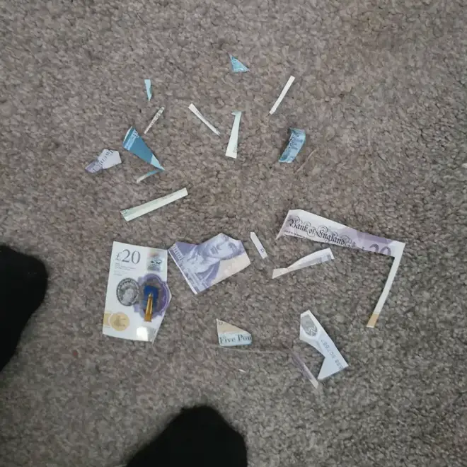 Esme cut up the £20 notes while playing
