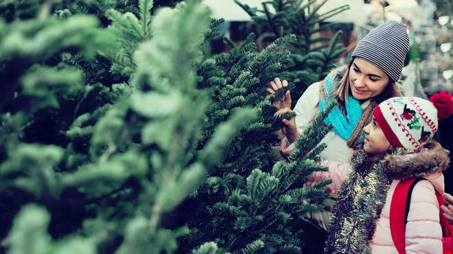Experts believe people who put their Christmas Trees are happier
