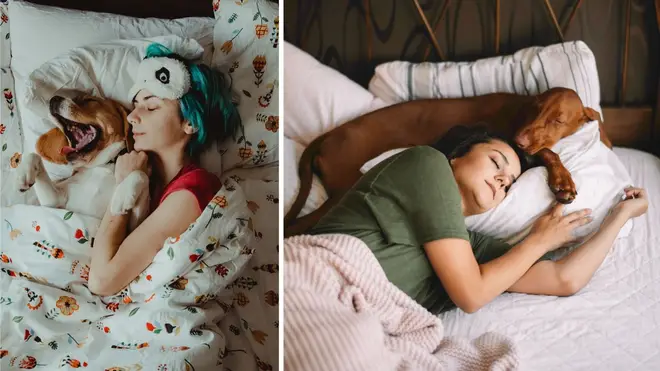 Women sleep better next to their dogs than their partners, research has revealed