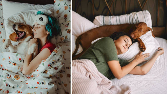 Women sleep better next to their dogs than their partners, new research has revealed