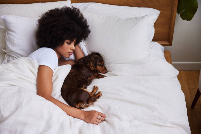 Dogs can be better bed partners as they have similar sleep patterns to humans and are more accommodating to their owner's sleep habits