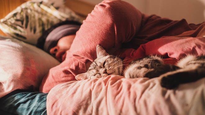 Cats were found to not be as accommodating to their owner's sleeping habits
