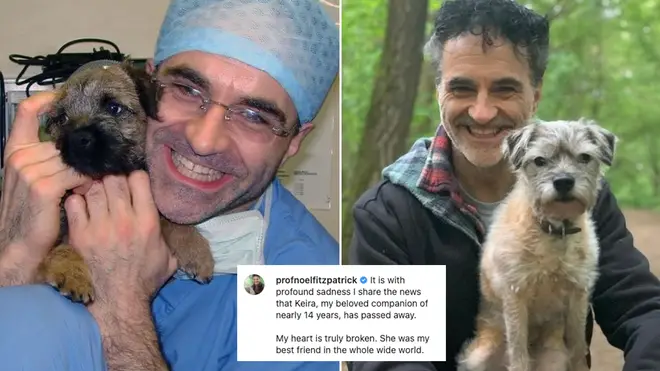 Supervet Noel Fitzpatrick has revealed his dog has died