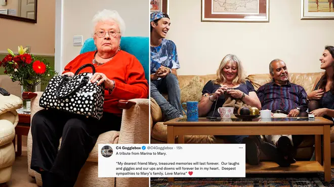Five Gogglebox stars have quit the show