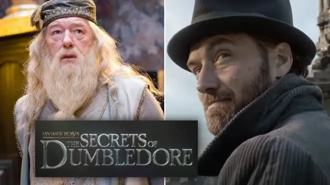 Jude Law will return as a young Dumbledore in the next Fantastic Beasts film