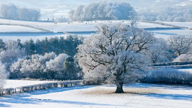 Snow and frost could hit the UK next month