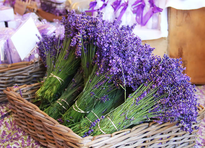 While lavender is an outdoor plant, you can cut sprigs of it, tie with string and place in the rooms of the house