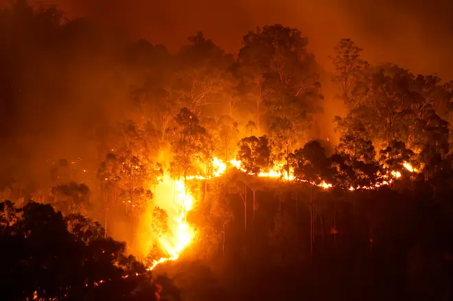 More than 8,000 people have been evacuated from their homes in Queensland (stock image)