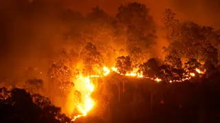Bushfire in Australia