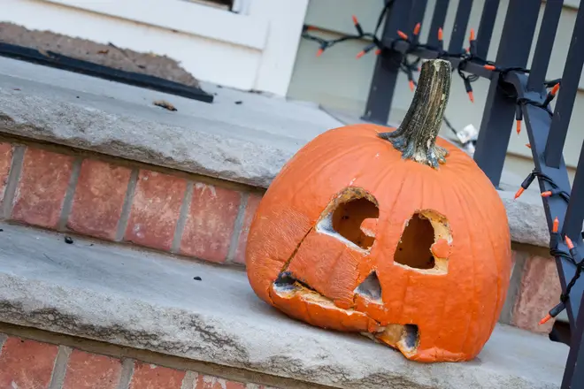 Pumpkins can start rotting just days after being carved