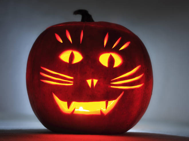 This cat pumpkin carving is the perfect way to make your creation a little more lighthearted
