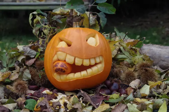 This pumpkin eating an orange will get the neighbours talking