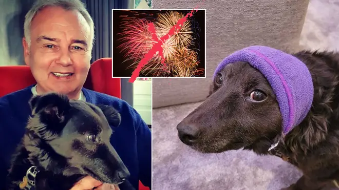 Eamonn Holmes wants to ban fireworks