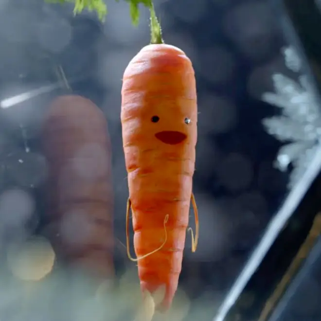 Kevin the Carrot appears to have been axed from the latest Christmas advert