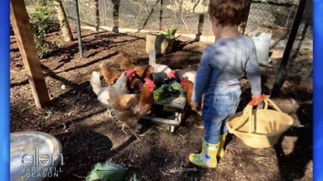 The adorable photo shows Archie feeding the chickens