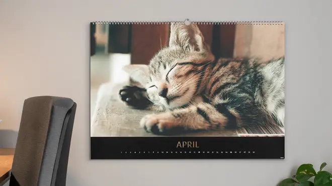 Photo calendar from Cewe