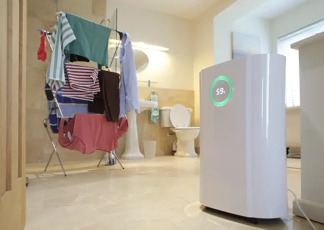 It's claimed that a dehumidifier can help dry laundry quickly (stock image)