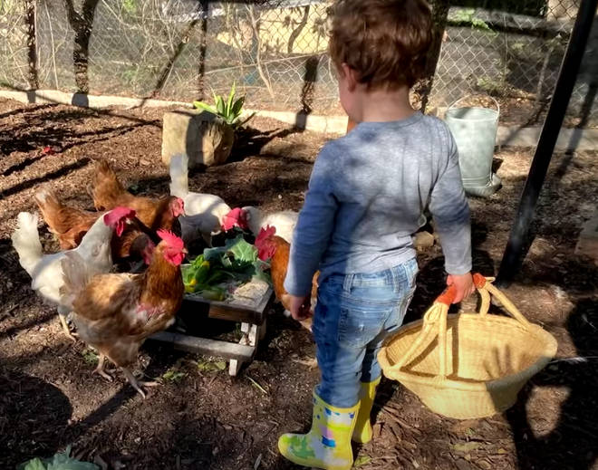 Meghan Markle shared a new picture of Archie, showing him feeding their chickens