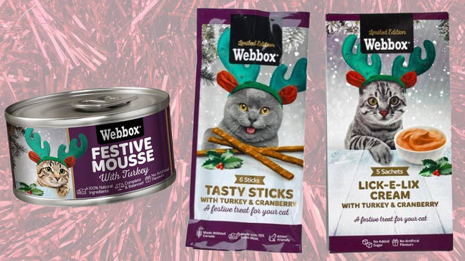 Your cat can enjoy the flavours of Christmas, too