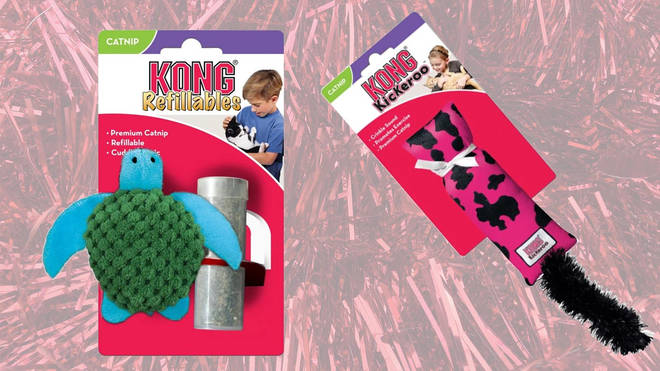 Cats go mad for Kong catnip toys