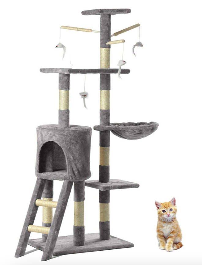 This cat tree will keep your felines comfy and entertained