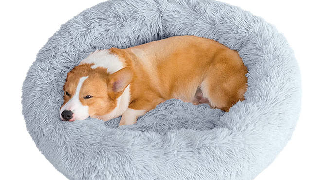 This cosy bed for cats and dogs will keep them snug all year round