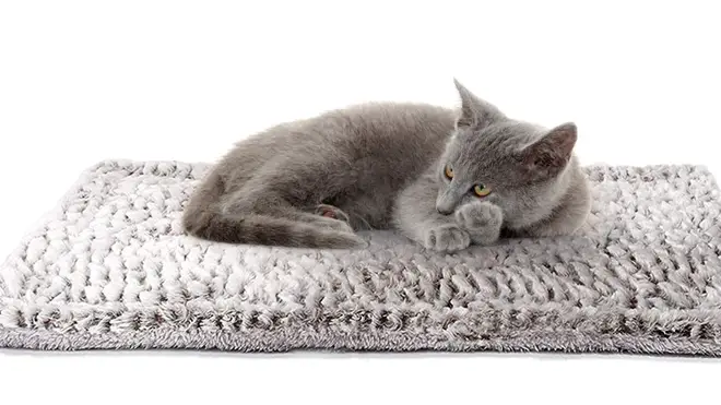 This self heating pad will keep your pet cosy throughout the winter