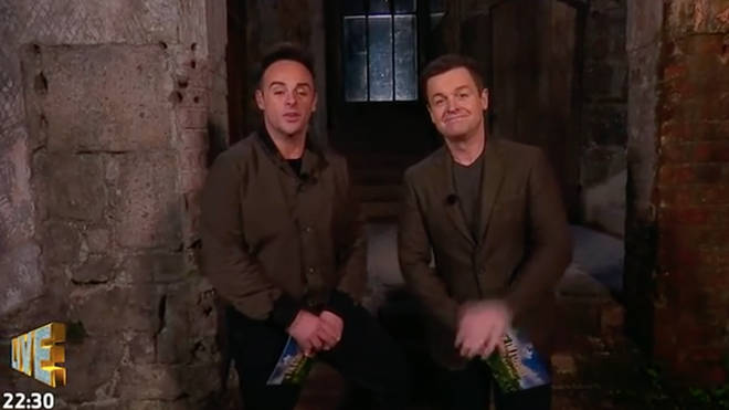 Ant and Dec often wear light jackets on I'm A Celeb