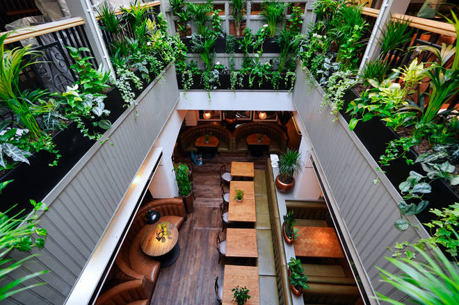 The inside of the restaurant is bright, airy and very green