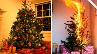 Dry Christmas trees are a fire hazard as they cause a very fast spread of flames