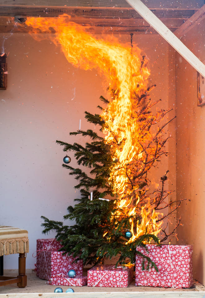 The flames will spread in seconds on a dry Christmas tree
