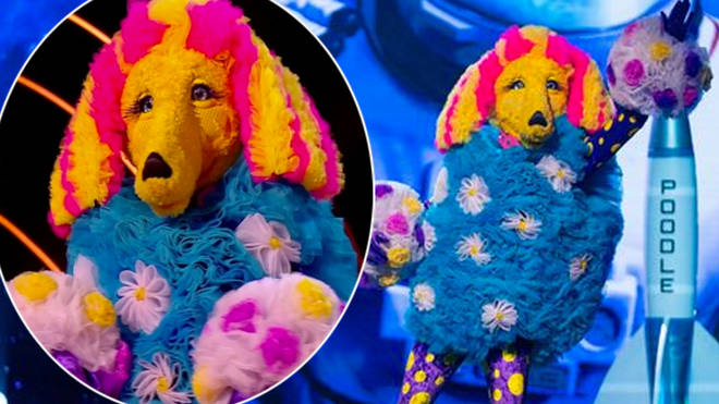 The Masked Singer fans think they've worked out Poodle's identity