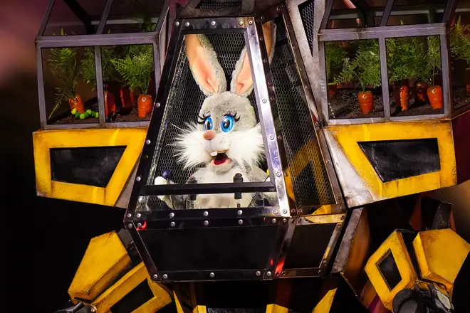 Could Robobunny be a famous boyband star?