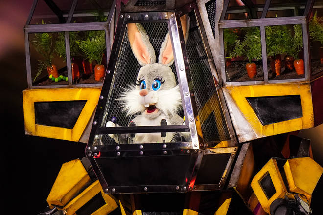 Could Robobunny be a famous boyband star?